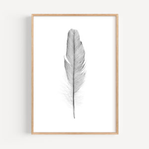 Feather Art Print
