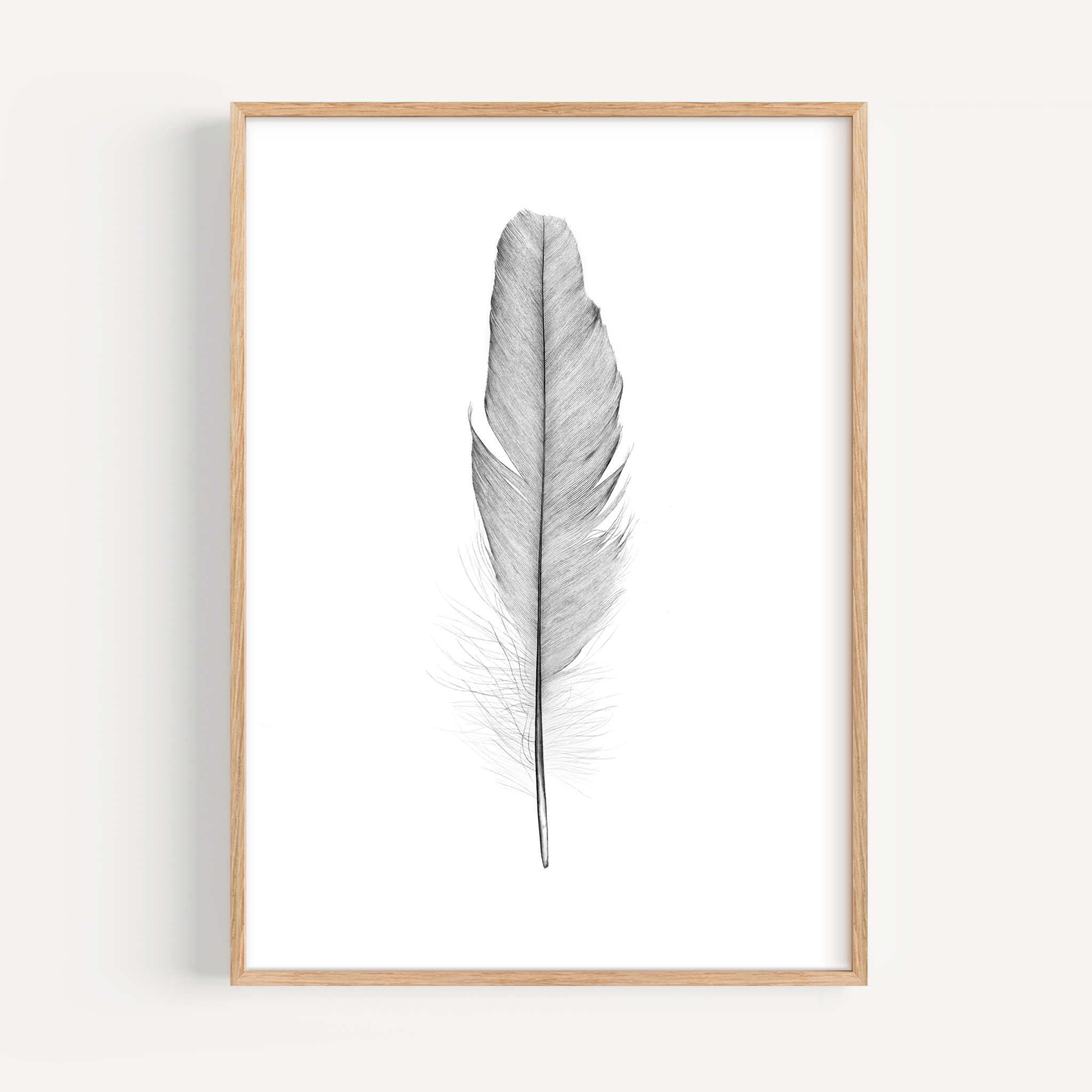 Feather Art Print